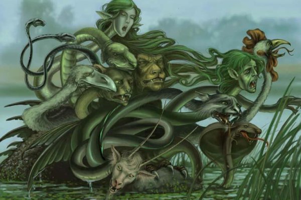 Kraken 24 at